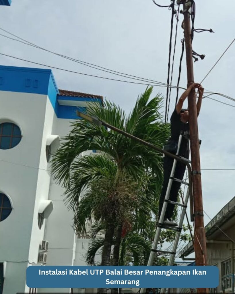 Instalasi kabel UTP pada area Balai Besar Penangkapan Ikan Semarang